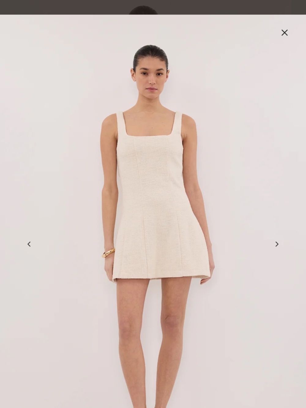NWT DISSH Nieve Natural Mini Dress